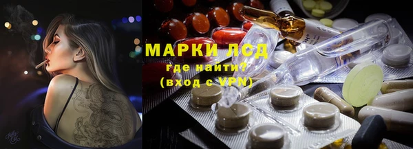 гашик Арсеньев