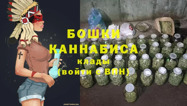 гашик Арсеньев