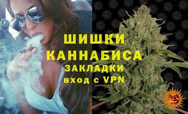 гашик Арсеньев