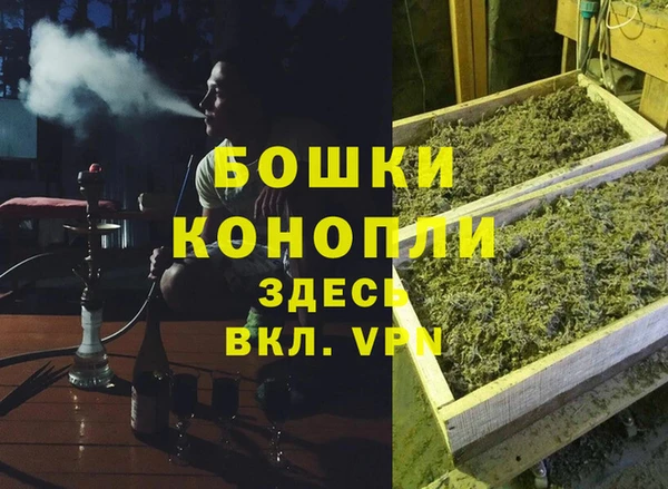каннабис Аркадак