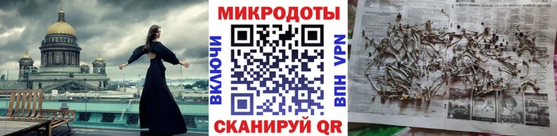 Псилоцибиновые грибы мицелий  купить закладку  Магадан 